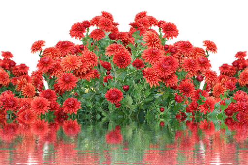 Podzimní rovnodennost