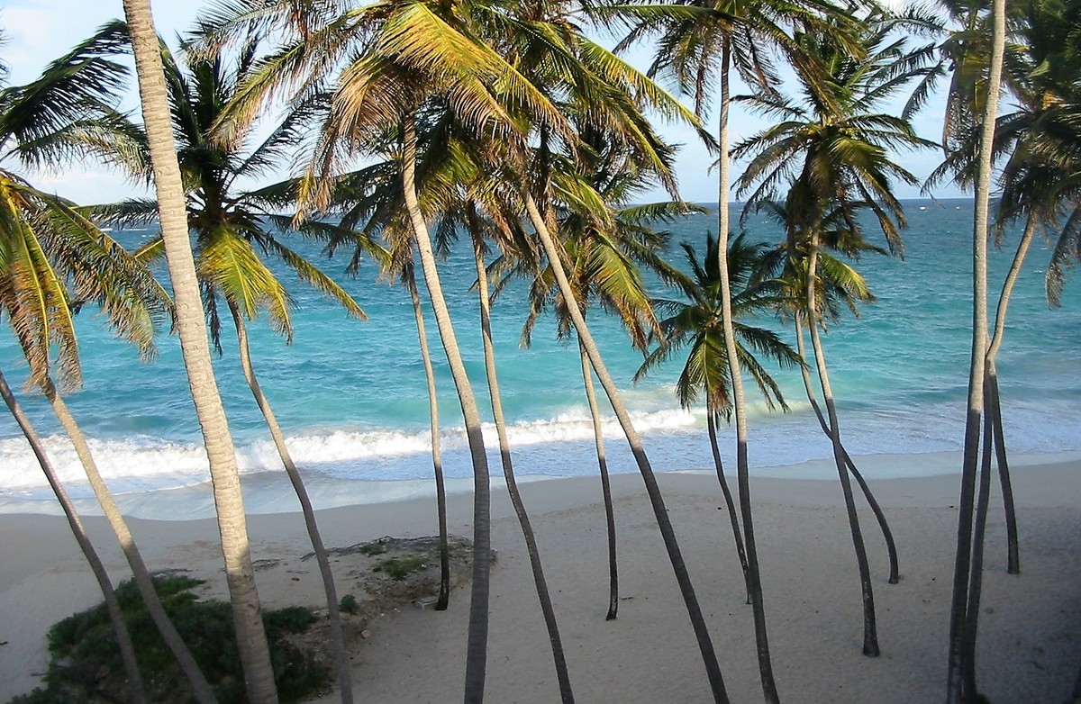 Chcete se v létě podívat k moři? Poradíme vám, jak za dovolenou ušetřit