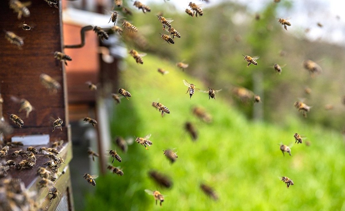 Každý den je jiný, i když seniorský