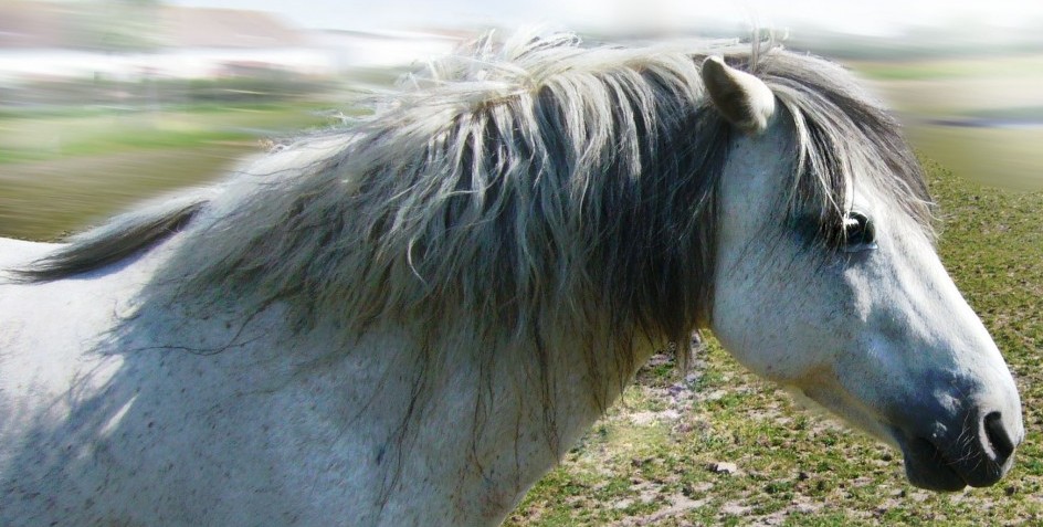 Co můžeme dělat aneb
Tipy na měsíc listopad