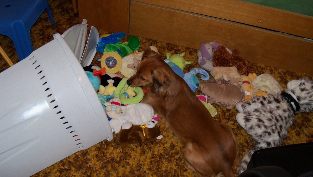 Kdo si hraje, nezlobí aneb
Bertíkovo království hraček