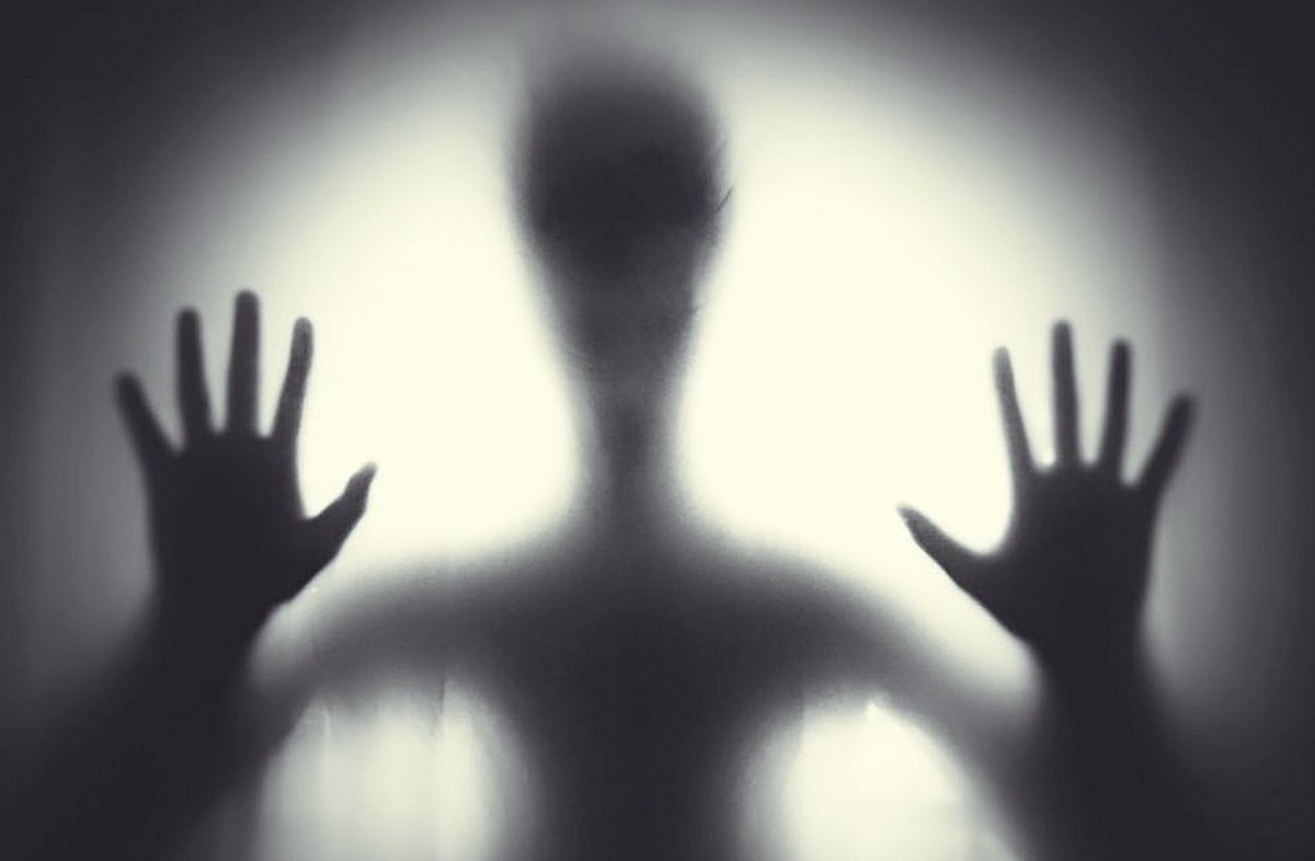 Nebojte se stříbrňáků