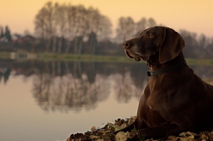 Podzimní fotografická soutěž
magazínu i60 už zná své vítěze