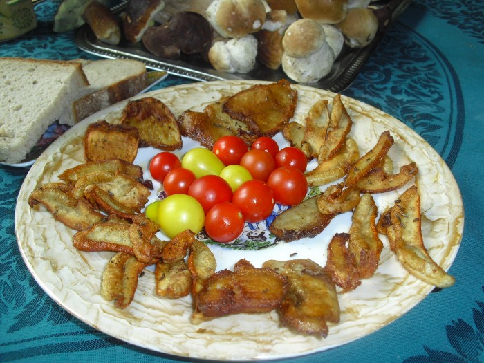 Hřib smrkový na kmíně