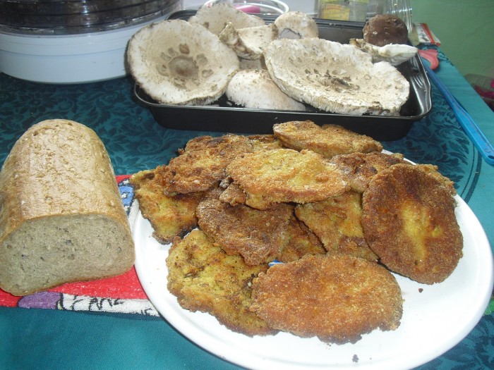 Bedle smažená i nadívaná