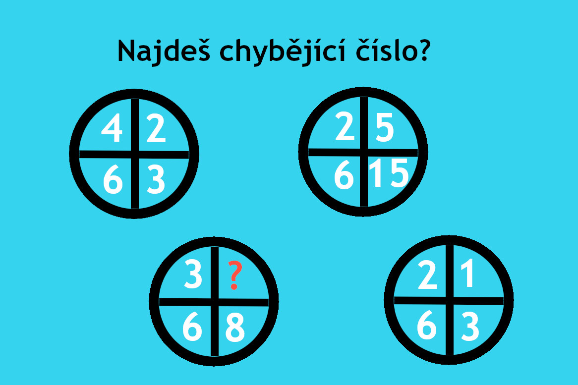 Lednová porce hádanek