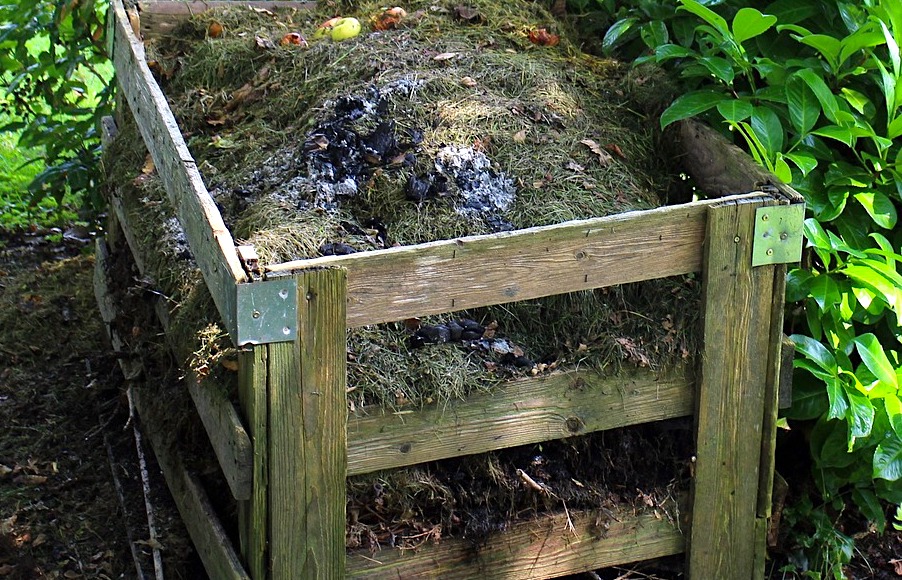 Malá úvaha o kompostu