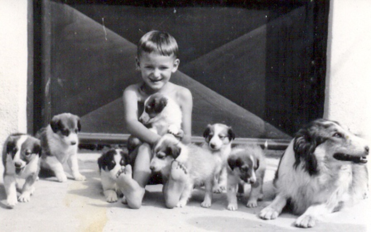 Kouzlo časů minulých: Domov se vším všudy