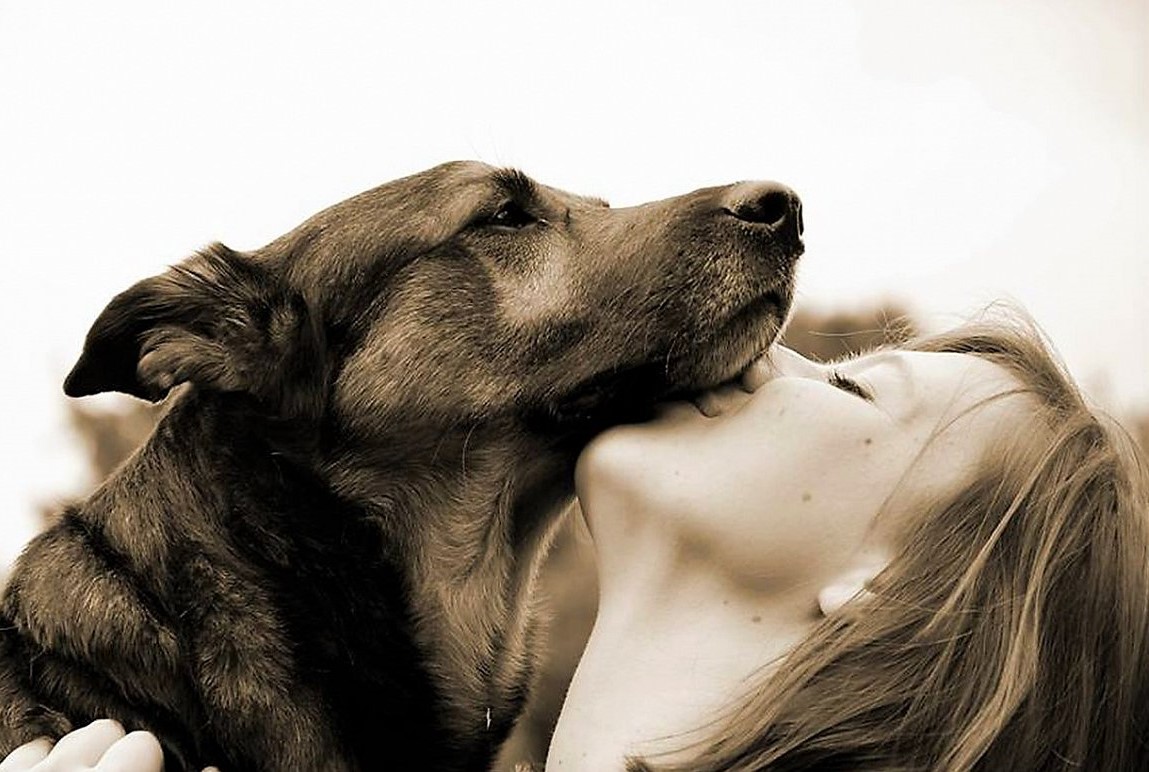 Polibky, mazlení. Mají to psi rádi?
