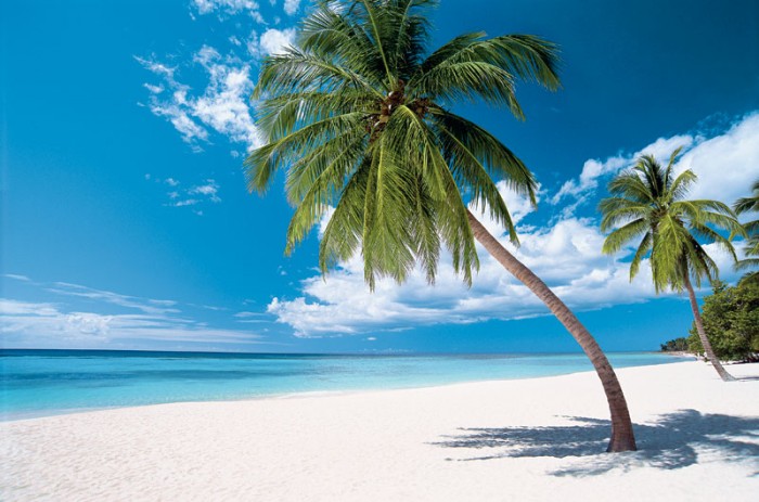 Což takhle Vánoce u moře?
Počet milců exotiky přibývá