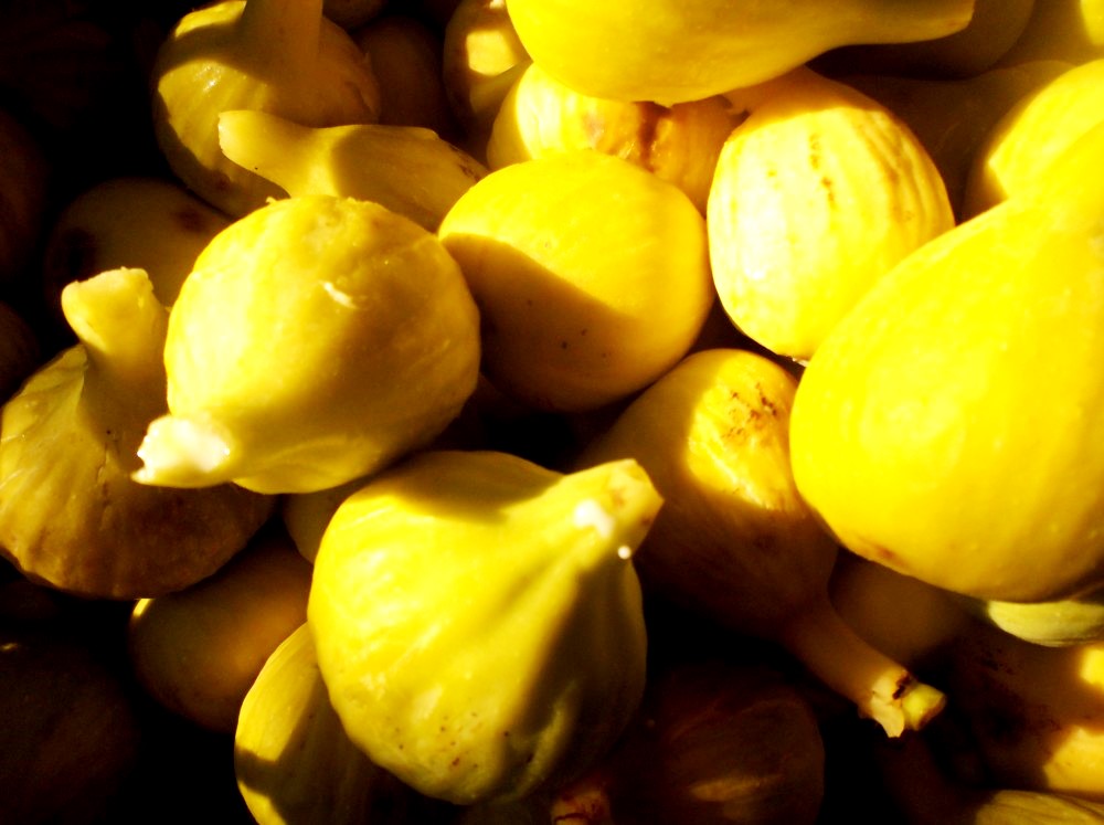 Snězte si mne! Jsem 
fík neboli smokvička