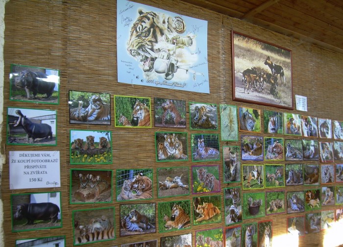 Tip na výlet: Ringelland 
Habrkovice - ZOO park 