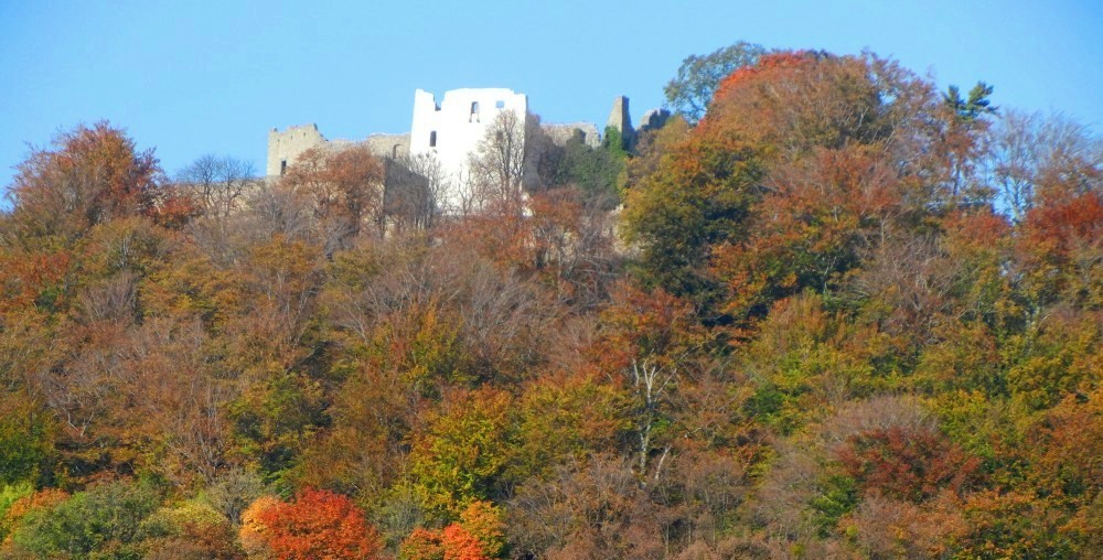 Moje vernisáž: Kam míří mé kroky