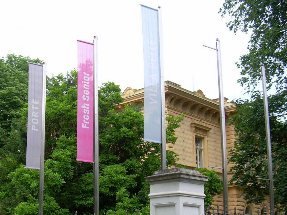 Fresh senior festival 
očima Dany Kolářové