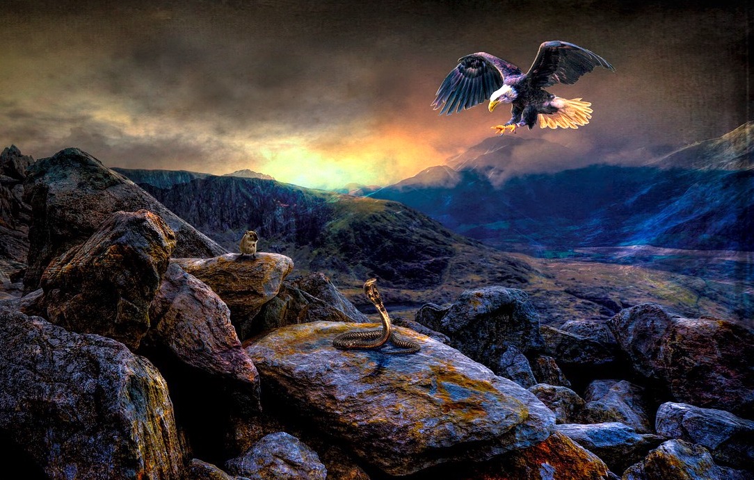 Orol a had - príbeh, ktorý môže ovplyvniť náš postoj k hádkam a zvadám