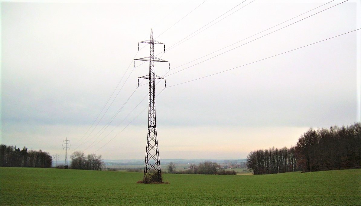 Moje energie: Knihy, stromy, kolo aneb Souznění s přírodou