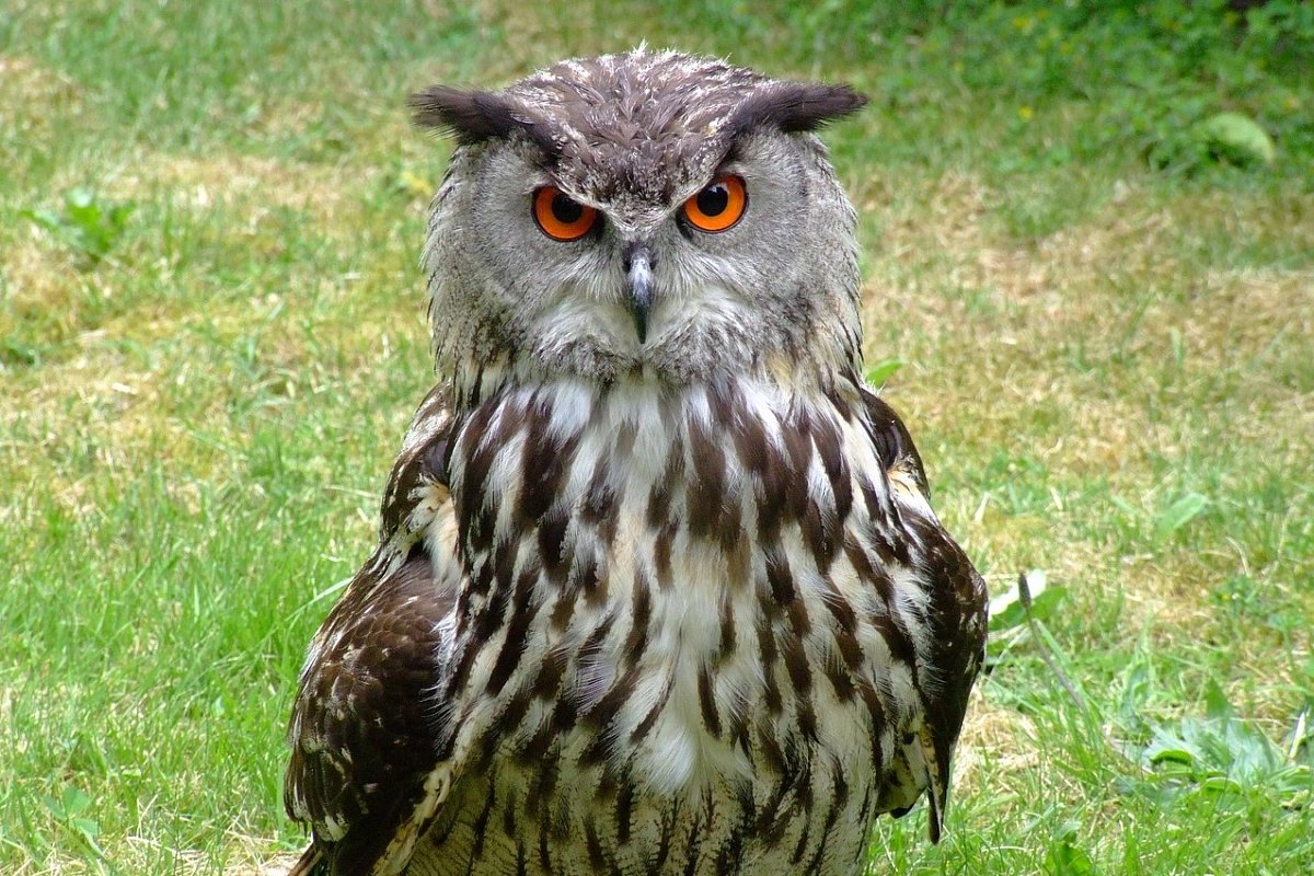 Jarní veršování podle přání 