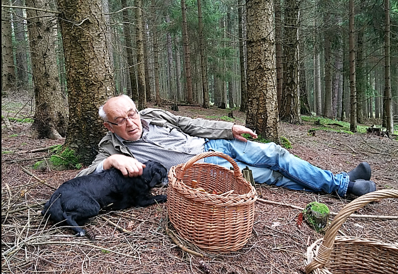 Rostou? Aneb houbaření jako národní sport