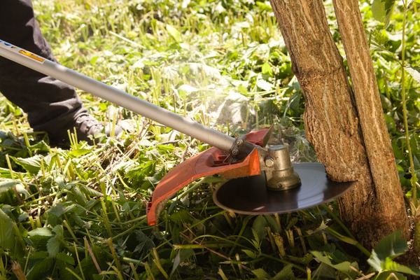 Křovinořezy: univerzální stroje,
vhodné (nejen) na vysokou trávu
