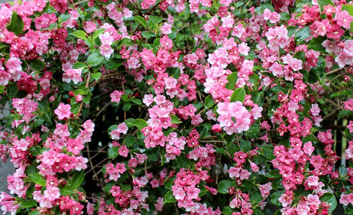 Moje jarní inspirace