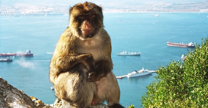 Soutěž Moje léto 2014
ovládl Tomáš Horáček