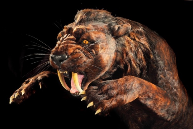 Plzeňská cesta do pravěku 
aneb Giganti doby ledové