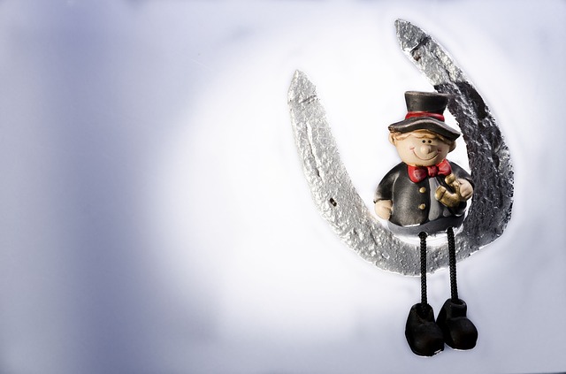 Moje novoroční přání 