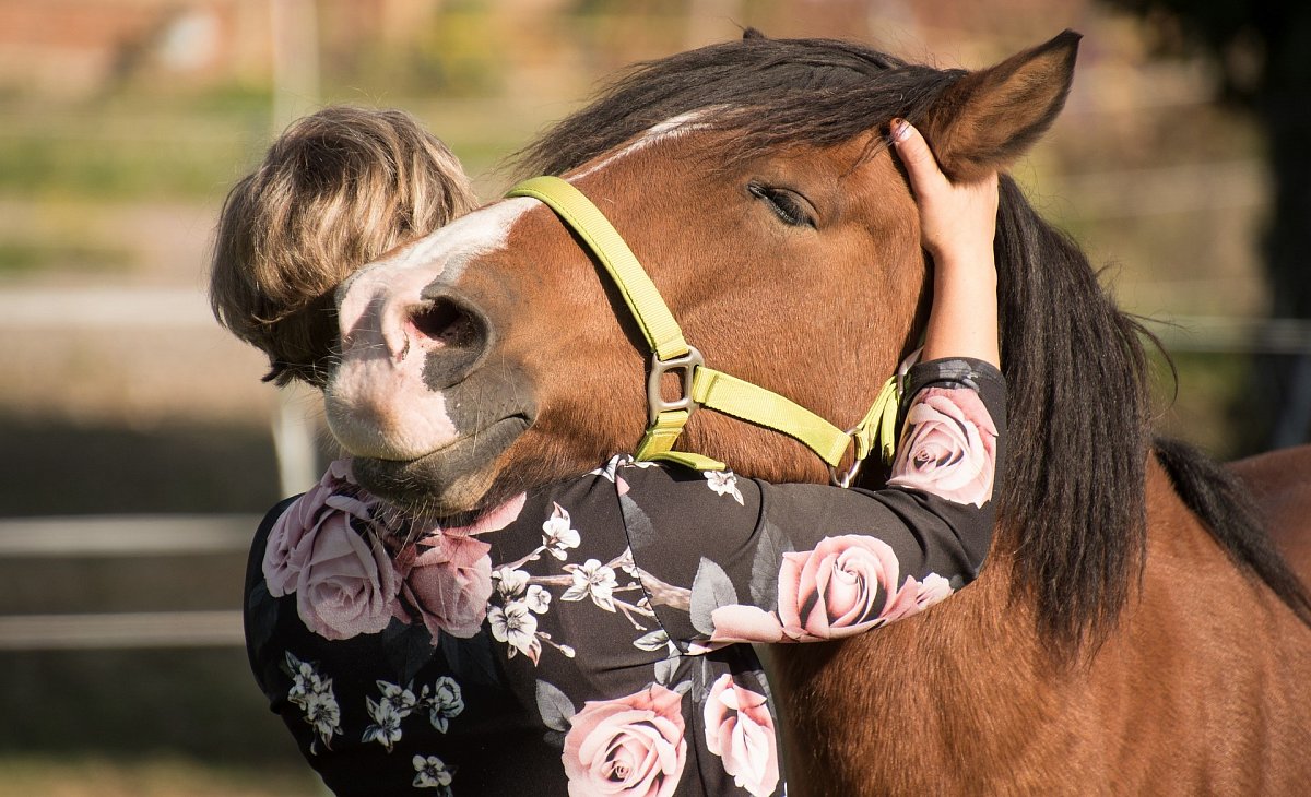Můj seniorský život: Zřejmě jsem mu nepadla do oka