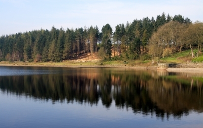 Pozor, v některých přírodních 
koupalištích už jsou sinice