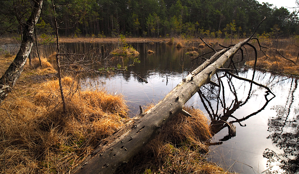FOTO DNE 1.4.: Mirek Hahn - Blata