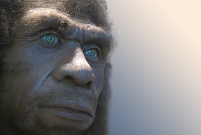 Neandertálci vymřeli
dřív, než se soudilo