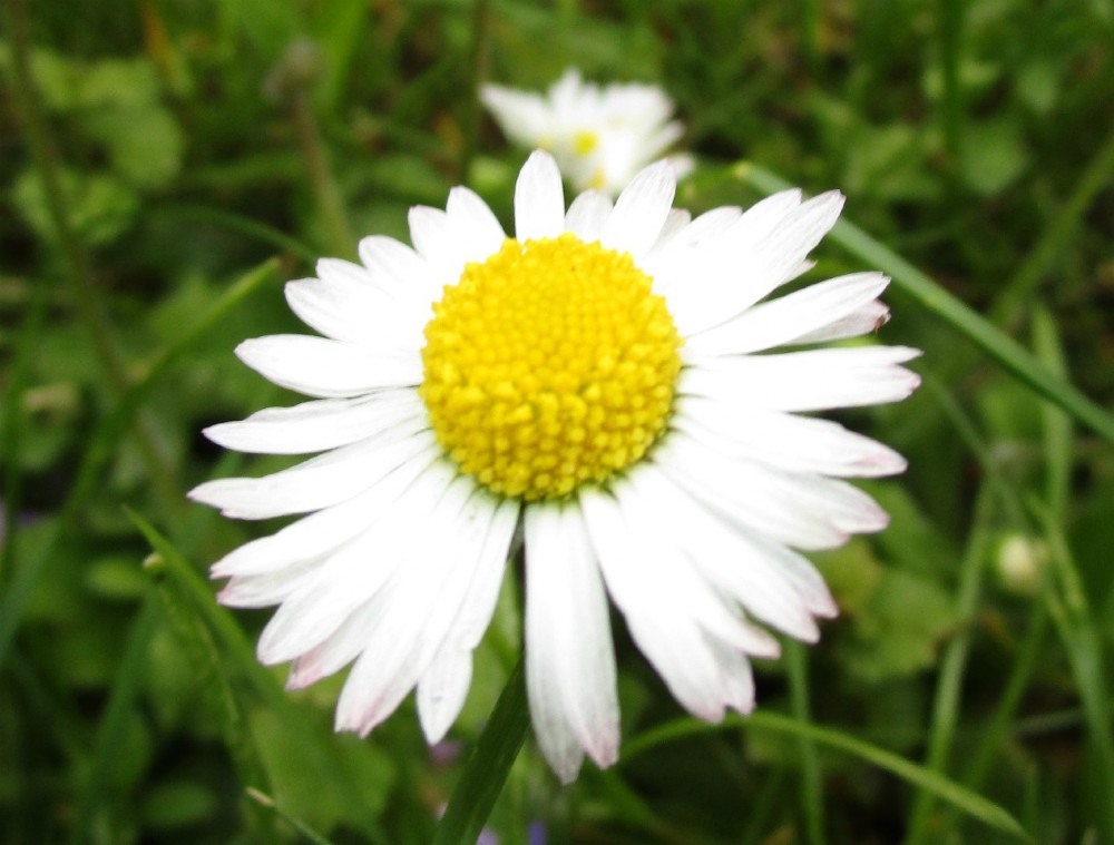 Jarní fotopříběh: Barevná 
módní přehlídka