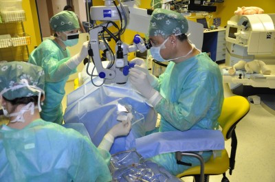 Šedý zákal odstraní
brzy unikátní laser
