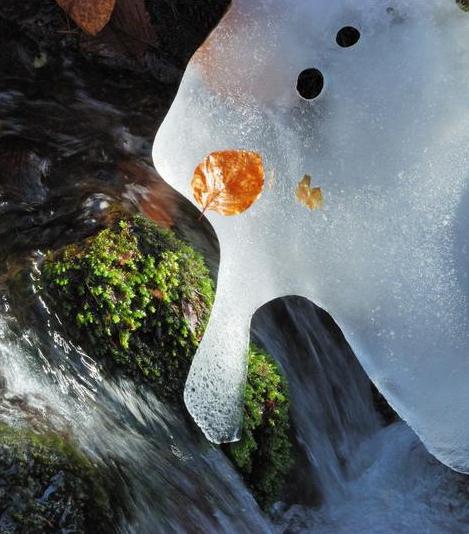 Magazín i60.cz vyhlašuje vítěze
fotosoutěže i kulinářského klání