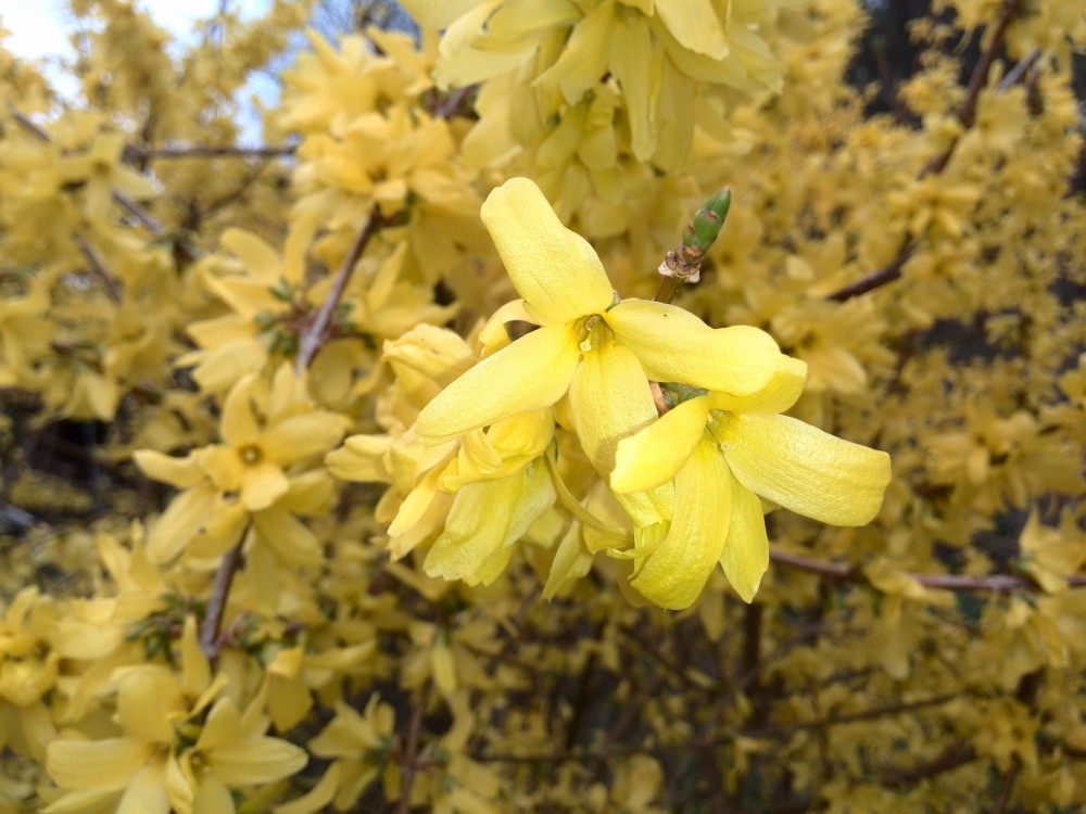 Čtyři roční období: fotosoutěž 
o&nbsp;autorské kalendáře 2016