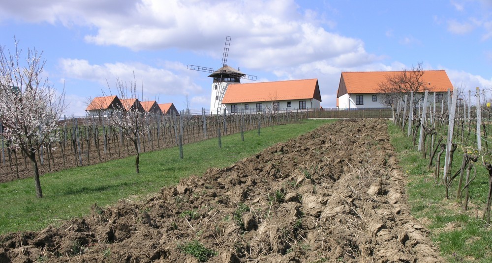 Kalendář pro rok 2016!
Kdo budou jeho autoři?