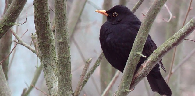 Můj zážitek roku: 
Dopis do nebe