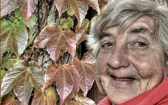 Ve fotosoutěži Barvy podzimu
ocenila redakce deset snímků