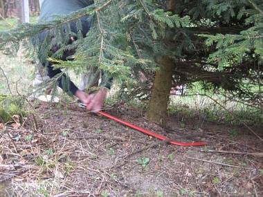 Vánoce, ze kterých jsem se...