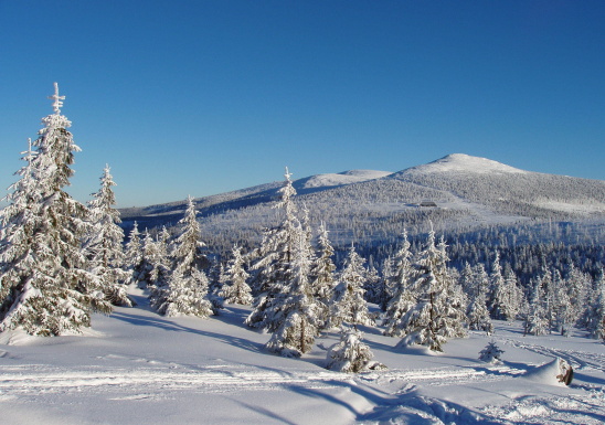 České hory nabízejí výtečné
podmínky, opět lákají turisty