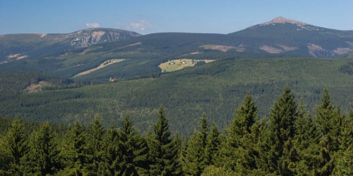 Krkonoše se opět brání
borůvkovým šílencům