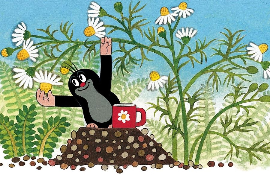 Kdo by to řekl, nového
Krtečka natočí Číňané