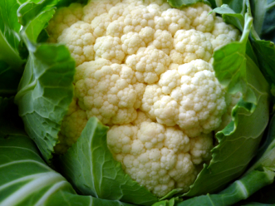 Hubnu se Světem zdraví 7:
Jídelníček? Složitá alchymie