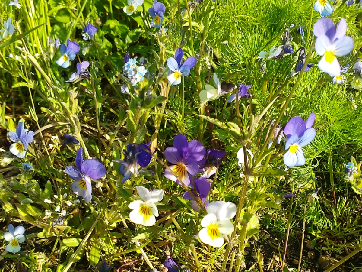 Nejzazší vzpomínka - neobvyklý pád