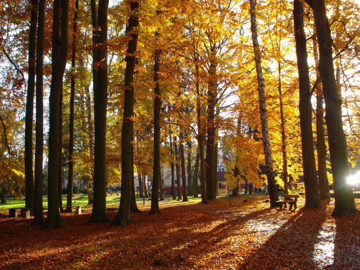 Pohádkový odpočinek 
před Vánoci v lázních
