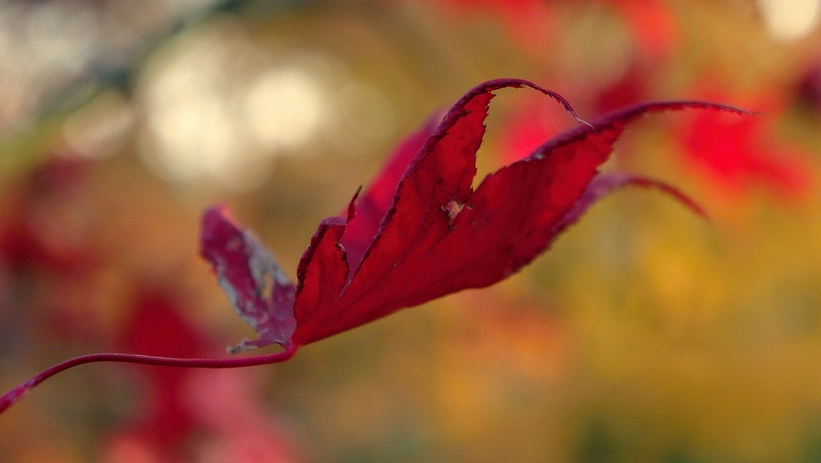 Magazín i60.cz vyhlašuje vítěze
a&nbsp;spouští lavinu zajímavých cen
