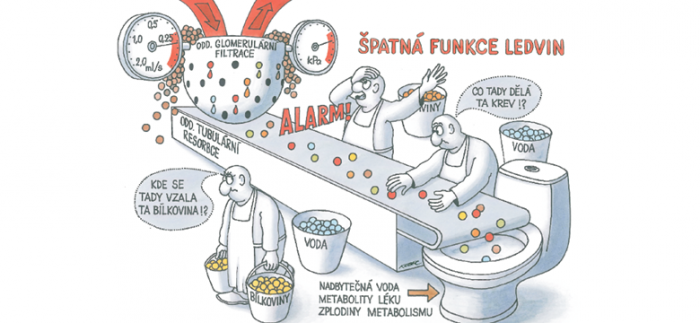 Očista organismu prospěje
také nemocným ledvinám 