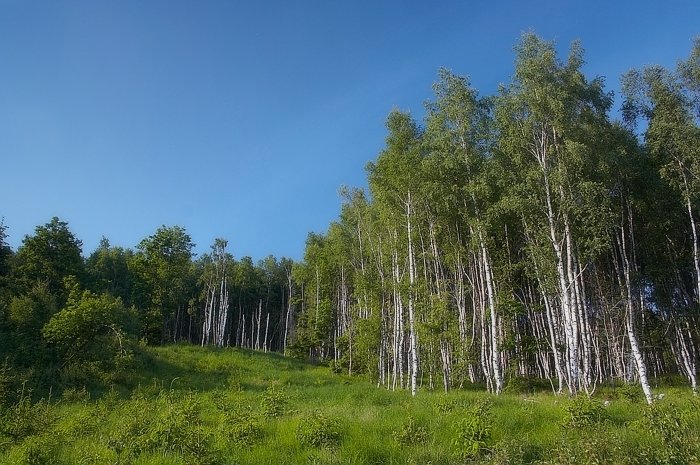 Dialog o věcech
smutných i veselých