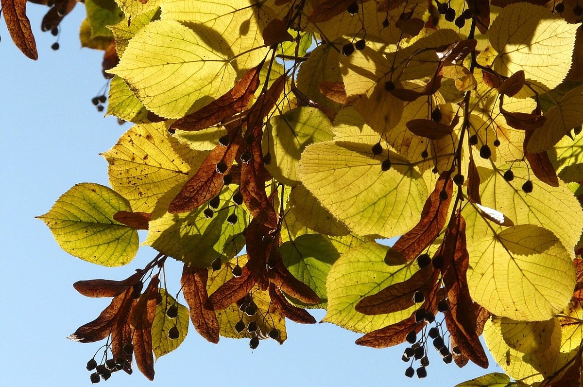 Letní snění: Jsme