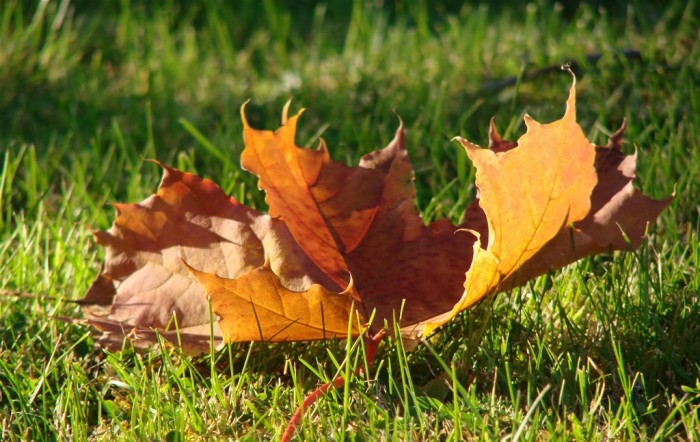 Koncem října se může 
na horách objevit sníh